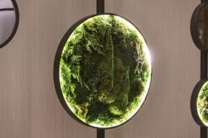 Estructura vegetal