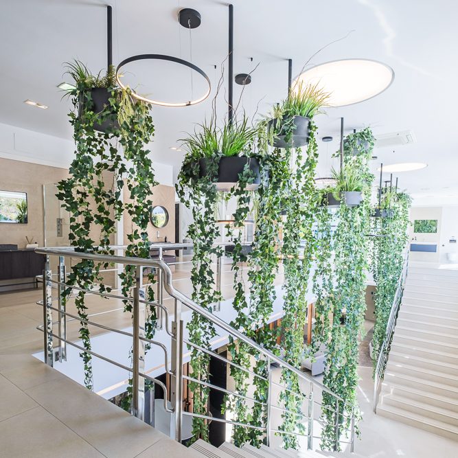 Estructuras vegetales