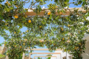 Artificial plants for outdoor use 